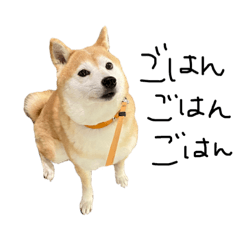 [LINEスタンプ] ちろだよ2