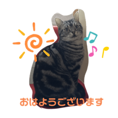 [LINEスタンプ] 3ニャンズSHM