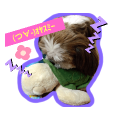 [LINEスタンプ] 日常♡かわいい♡