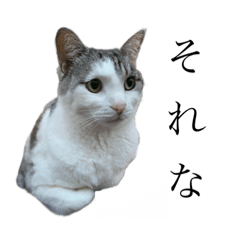 [LINEスタンプ] とのちゃん2