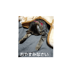 [LINEスタンプ] ゆずにゃん2