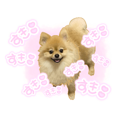 [LINEスタンプ] 量産型ぴえんポメラニアン
