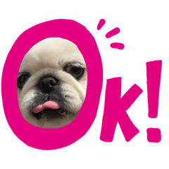 [LINEスタンプ] ペキニーズメイさん