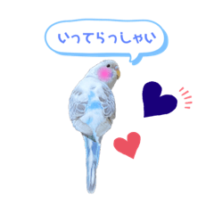 [LINEスタンプ] うちのインコさん達2（Ouchinoinko2）