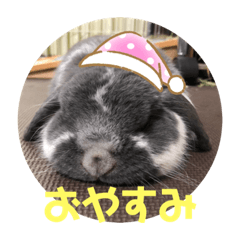 [LINEスタンプ] 蒼空のおうちスタンプ①