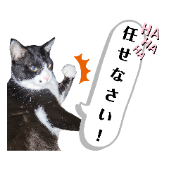 [LINEスタンプ] マスオと愉快な仲間達