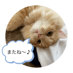 [LINEスタンプ] もなか大好きスタンプ♪