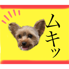 [LINEスタンプ] もずぽんno.わん