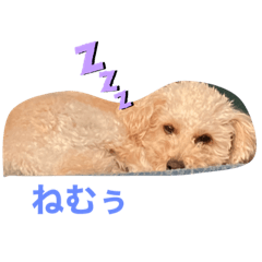[LINEスタンプ] 〜茶々丸くんの日常〜