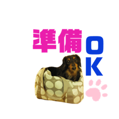 [LINEスタンプ] ミニチュアダックス夏男さん