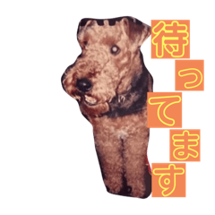 [LINEスタンプ] b＆m♡コラボ