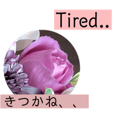[LINEスタンプ] 佐賀弁と英語と薔薇と緑