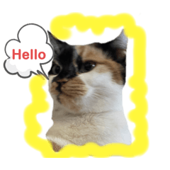 [LINEスタンプ] マーゴ＆レオンスタンプ
