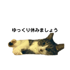[LINEスタンプ] 【お仕事用】レモンスタンプ