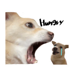 [LINEスタンプ] もじょもじょのもじょ