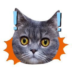 [LINEスタンプ] すたんぷあおい