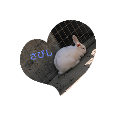 [LINEスタンプ] うーさぎーーー