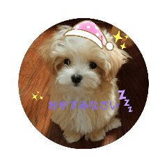 [LINEスタンプ] Ikou Chip