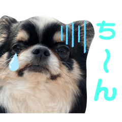 [LINEスタンプ] れおんのあいさつ