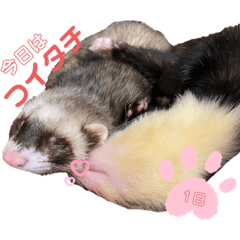 [LINEスタンプ] マーシャルっ子の日常 〜よもぎ＆しおん〜