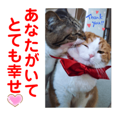 [LINEスタンプ] 赤いりぼんの可愛い仲間達③