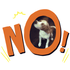 [LINEスタンプ] ビーグル(beagle)