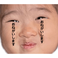 [LINEスタンプ] おしゃべりマサリ