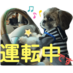 [LINEスタンプ] 忙しモヒカン蓮くん