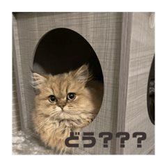 [LINEスタンプ] むんstamp2