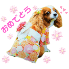 [LINEスタンプ] もあ♡チャーシェル