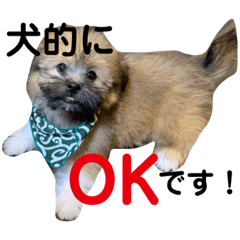 [LINEスタンプ] 富士丸スタンプ