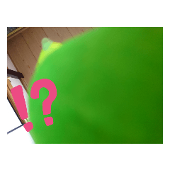 [LINEスタンプ] いろいろな鳥さん達のスタンプ
