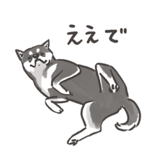 [LINEスタンプ] 関西地方出身の黒柴