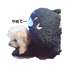 [LINEスタンプ] こはくのこはっとすたんぷ