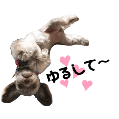 [LINEスタンプ] べべ様