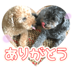 [LINEスタンプ] うちの子大優勝〈改②〉21.6.6