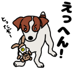 [LINEスタンプ] ジャックラッセルテリアと女の子