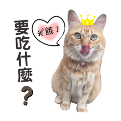 [LINEスタンプ] ネコ-グアイグアイ
