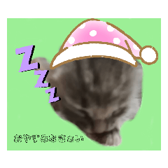 [LINEスタンプ] サムとやよいのまったりスタンプ