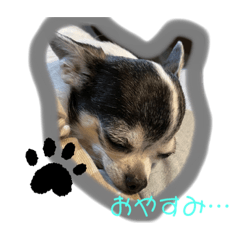 [LINEスタンプ] りさりさ'sぺっと