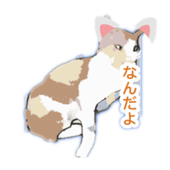 [LINEスタンプ] アンちゃん甘えて