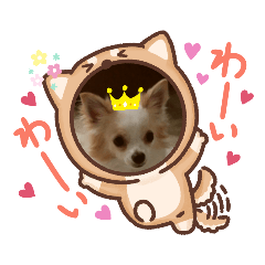 [LINEスタンプ] かわいいすぎるワンコスタンプ