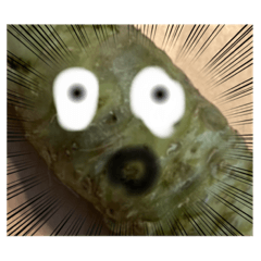 [LINEスタンプ] WASABI NO OWARI