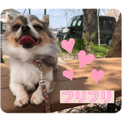 [LINEスタンプ] 〜りんの日常〜