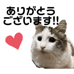 [LINEスタンプ] 垂れ目王子ほたての日常スタンプ②