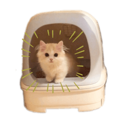 [LINEスタンプ] ドラ殿の日常