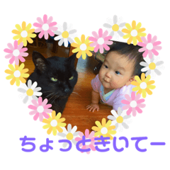 [LINEスタンプ] ハルヒナNO.1