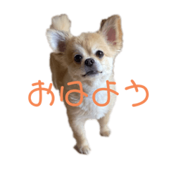 [LINEスタンプ] おまめの日常。2