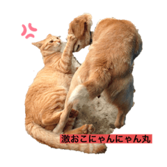 [LINEスタンプ] わんにゃんギャル語
