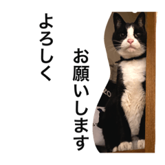 [LINEスタンプ] ラビくんのスタンプ